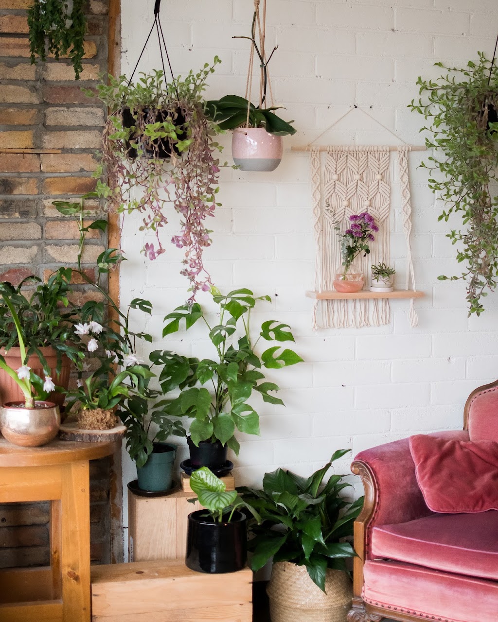 Studio Foliage | 49a Ave Donegani, Pointe-Claire, QC H9R 2V8, Canada | Phone: (514) 694-4620
