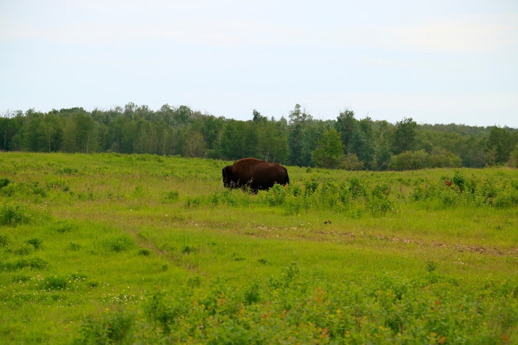 Elk Island National Park | E, 4J0, AB-16, Tofield, AB T0B 4J0, Canada