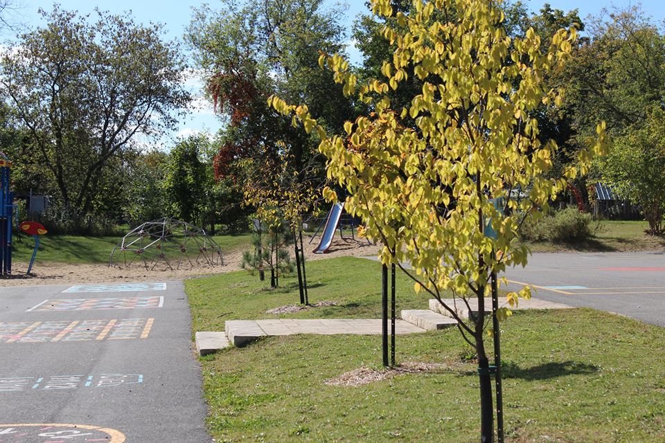 École Le Goéland | 177 Rue Principale, Saint-Alban, QC G0A 3B0, Canada | Phone: (418) 268-3332
