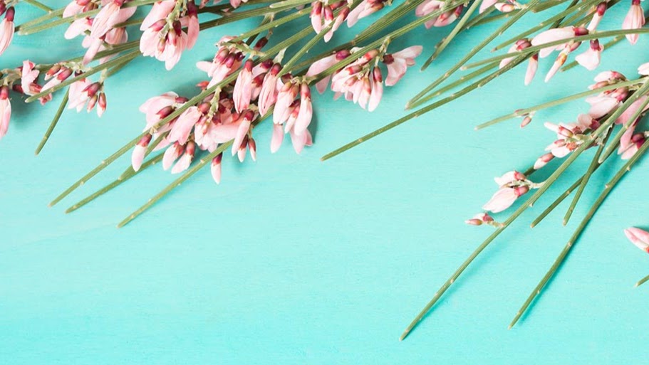 Dr. Lynne Racette, Naturopathic Doctor | 304 Toronto St S #202, Uxbridge, ON L9P 1Y2, Canada | Phone: (905) 852-2929