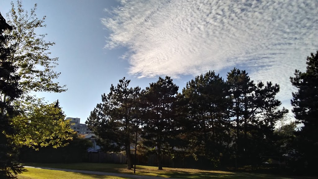 Plowmans Park | 5940 Montevideo Rd, Mississauga, ON L5N 3J5, Canada | Phone: (800) 929-3466