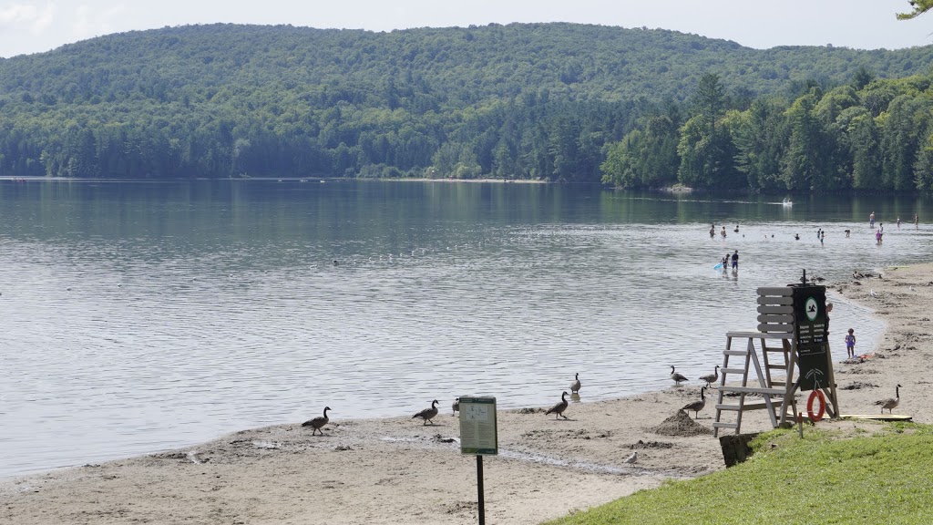 Breton Beach | Chemin du Lac-Philippe, La Pêche, QC J0X 2W0, Canada