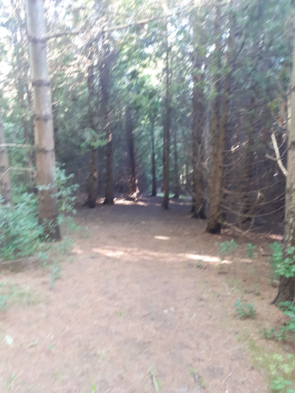 Hiking Trail | Conservation Rd, Guelph/Eramosa, ON N1H 6J1, Canada