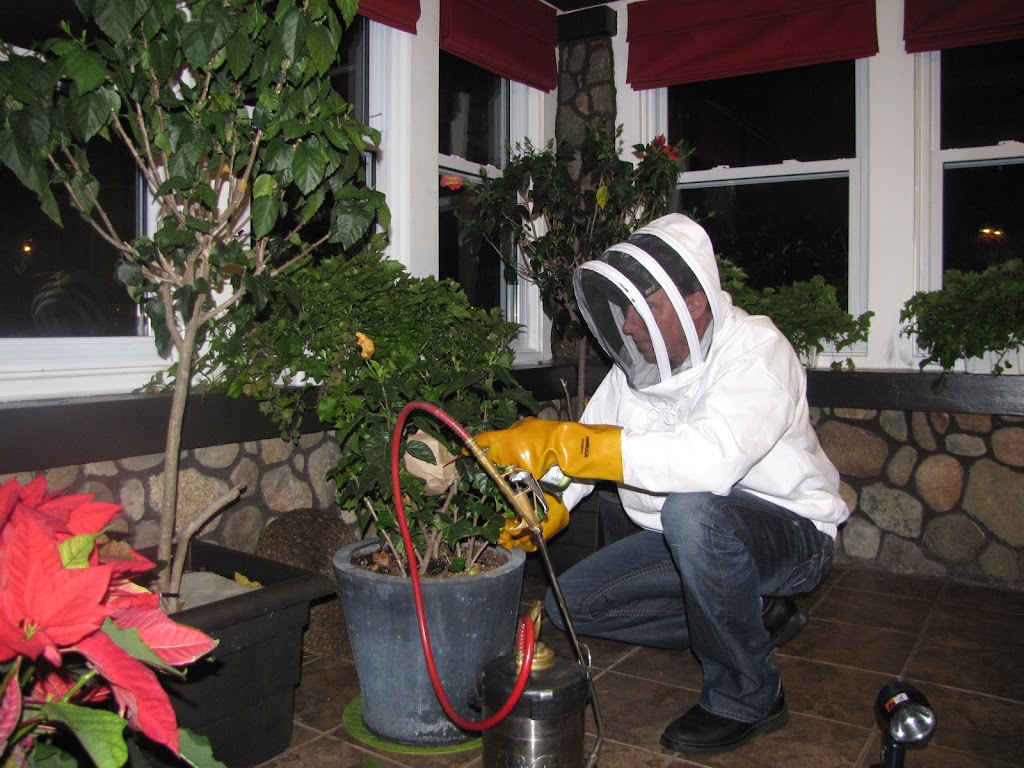 Pest Protection Services | 283 Alma St, St Thomas, ON N5P 3B9, Canada | Phone: (519) 661-6832