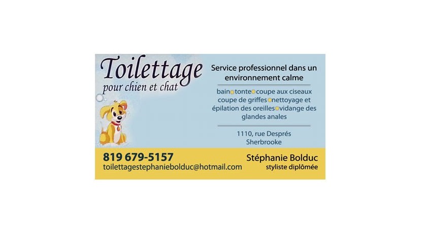 Grooming Stephanie Bolduc | 1110 Rue Després, Sherbrooke, QC J1E 3N4, Canada | Phone: (819) 679-5157