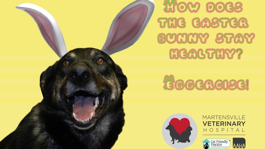 Martensville Veterinary Hospital | 2 4 St S, Martensville, SK S0K 2T0, Canada | Phone: (306) 933-2677