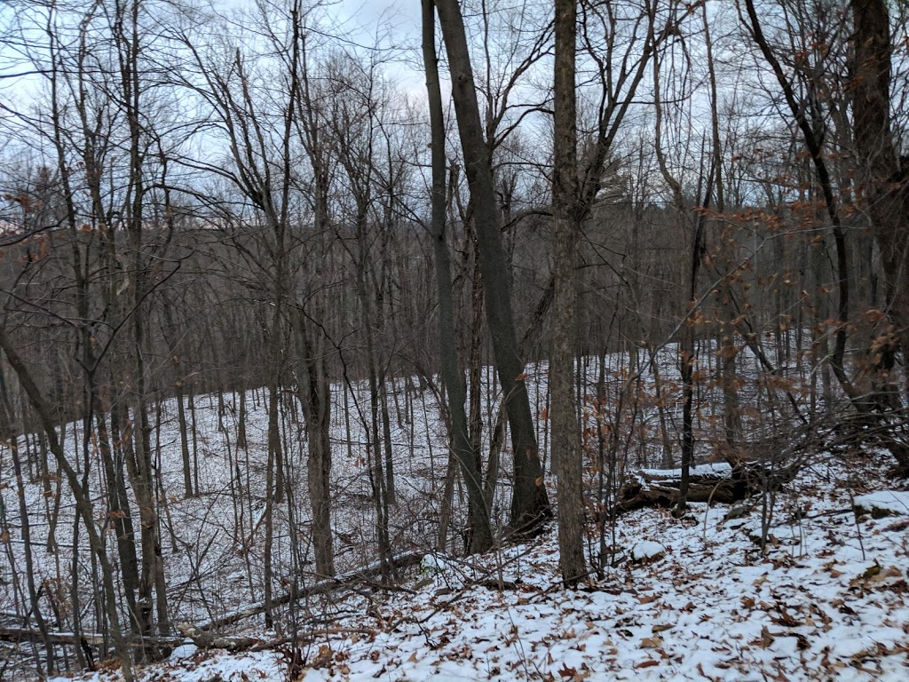 Silver Creek Conservation Area | Fallbrook Trail & Side Rd 27, Halton Hills, ON L7G 4S4, Canada | Phone: (800) 367-0890
