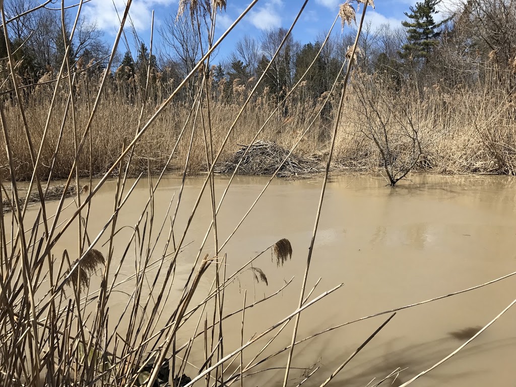Forested Dunes Nature Reserve | Lambton Shores, ON N0M 2L0, Canada