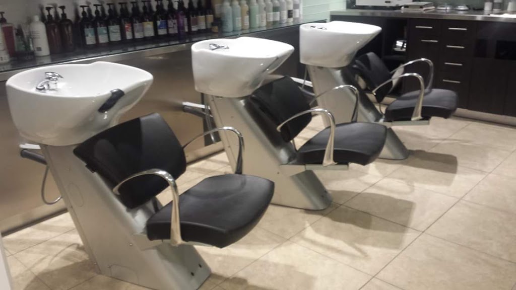 Hair Dynasty | 17725 Yonge St Suite 19, Newmarket, ON L3Y 7C1, Canada | Phone: (905) 853-3540
