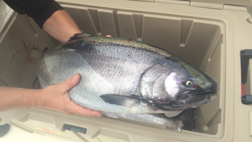 HindSight Fishing LTD | 17176 Osprey Pl, Port Renfrew, BC V0S 1K0, Canada | Phone: (866) 642-7393