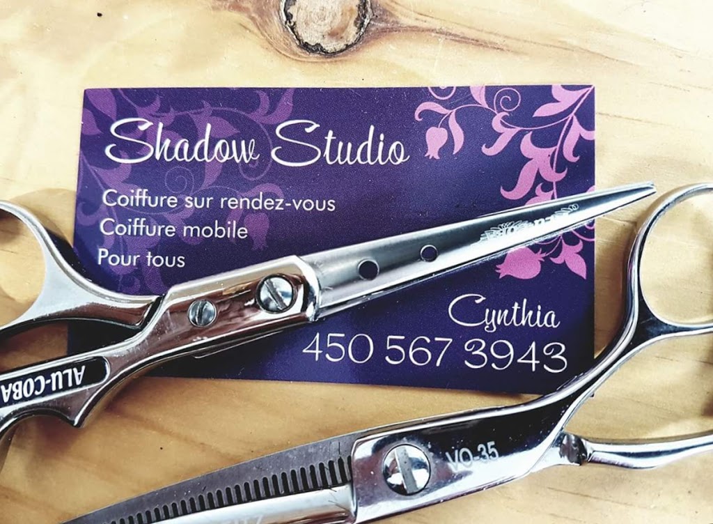 Shadow Studio | 2239 Chemin Ste Angélique, Saint-Lazare, QC J7T 2H5, Canada | Phone: (450) 567-3943
