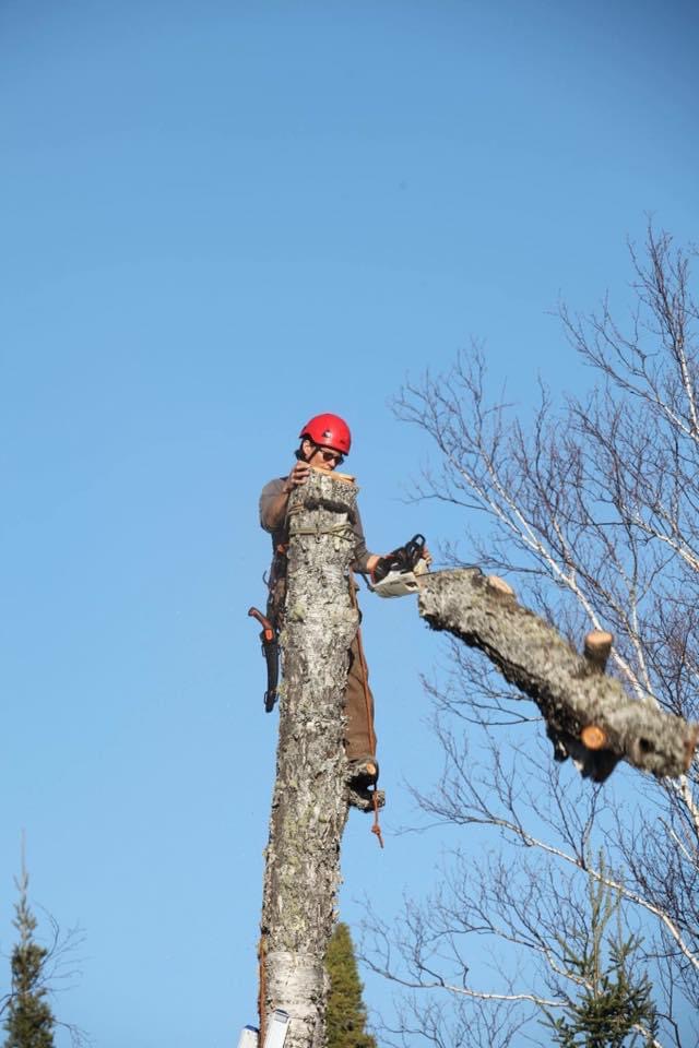Tree wise men | 2425 Jane St, North York, ON M3M 1B1, Canada | Phone: (437) 254-4206