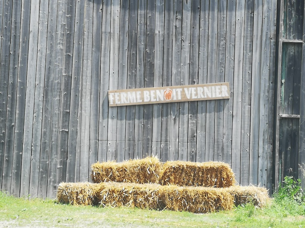 Ferme Benoit Vernier | 560 69e Avenue, Saint-Zotique, QC J0P 1Z0, Canada | Phone: (438) 700-6318