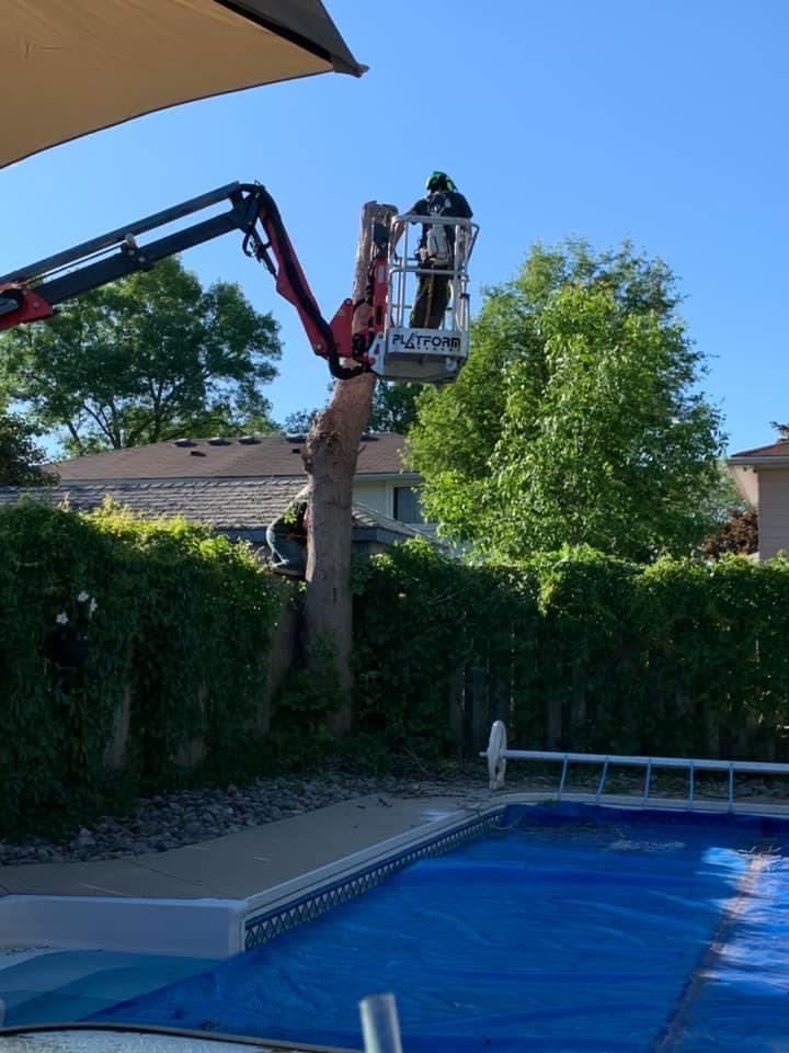 Active Tree Care | 000 Nash Rd, Courtice, ON L1E 2J9, Canada | Phone: (289) 356-1466