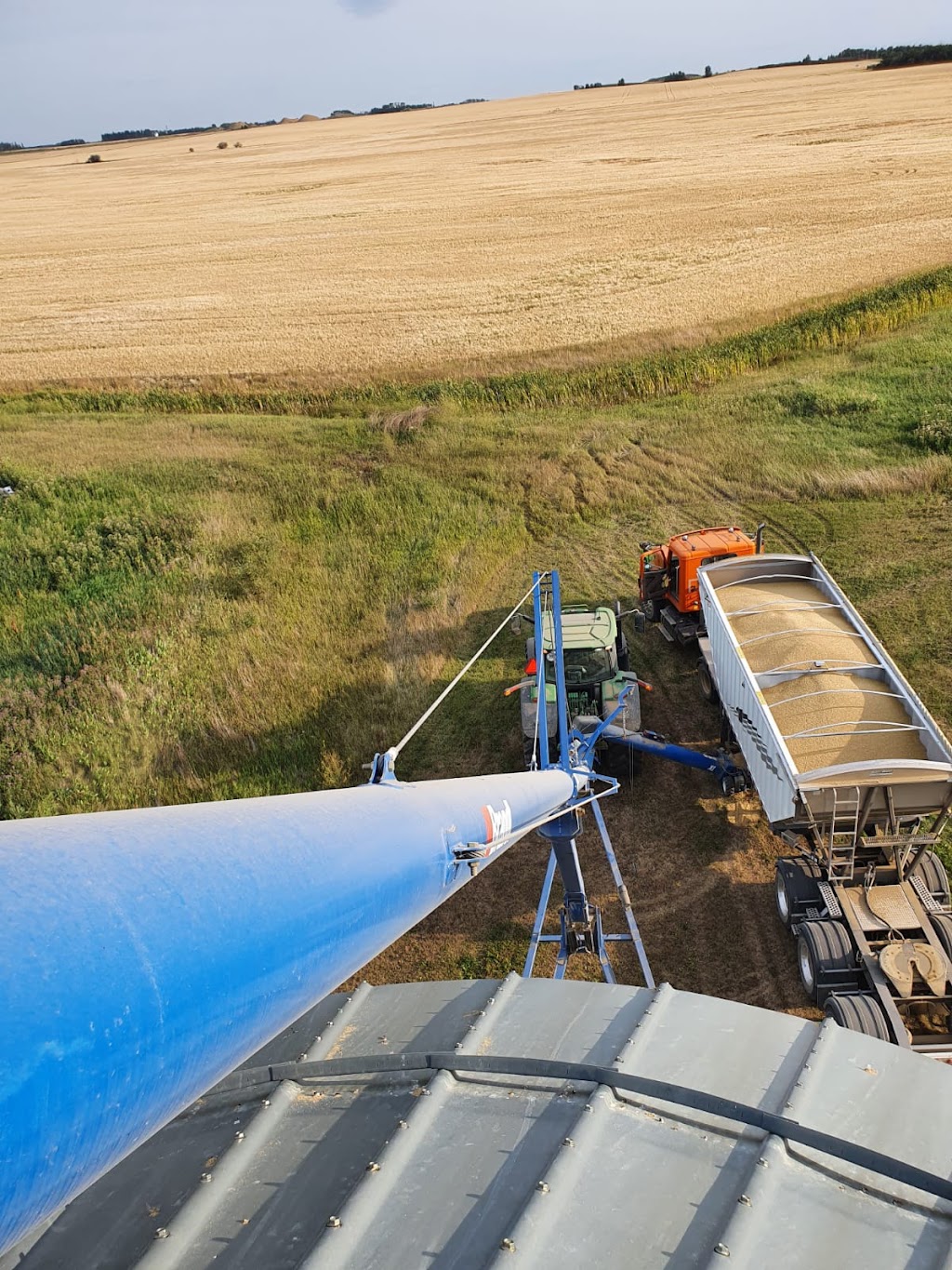 Code custom farming ltd | Township Rd 442, Ponoka, AB T4J 1R2, Canada | Phone: (403) 872-9147
