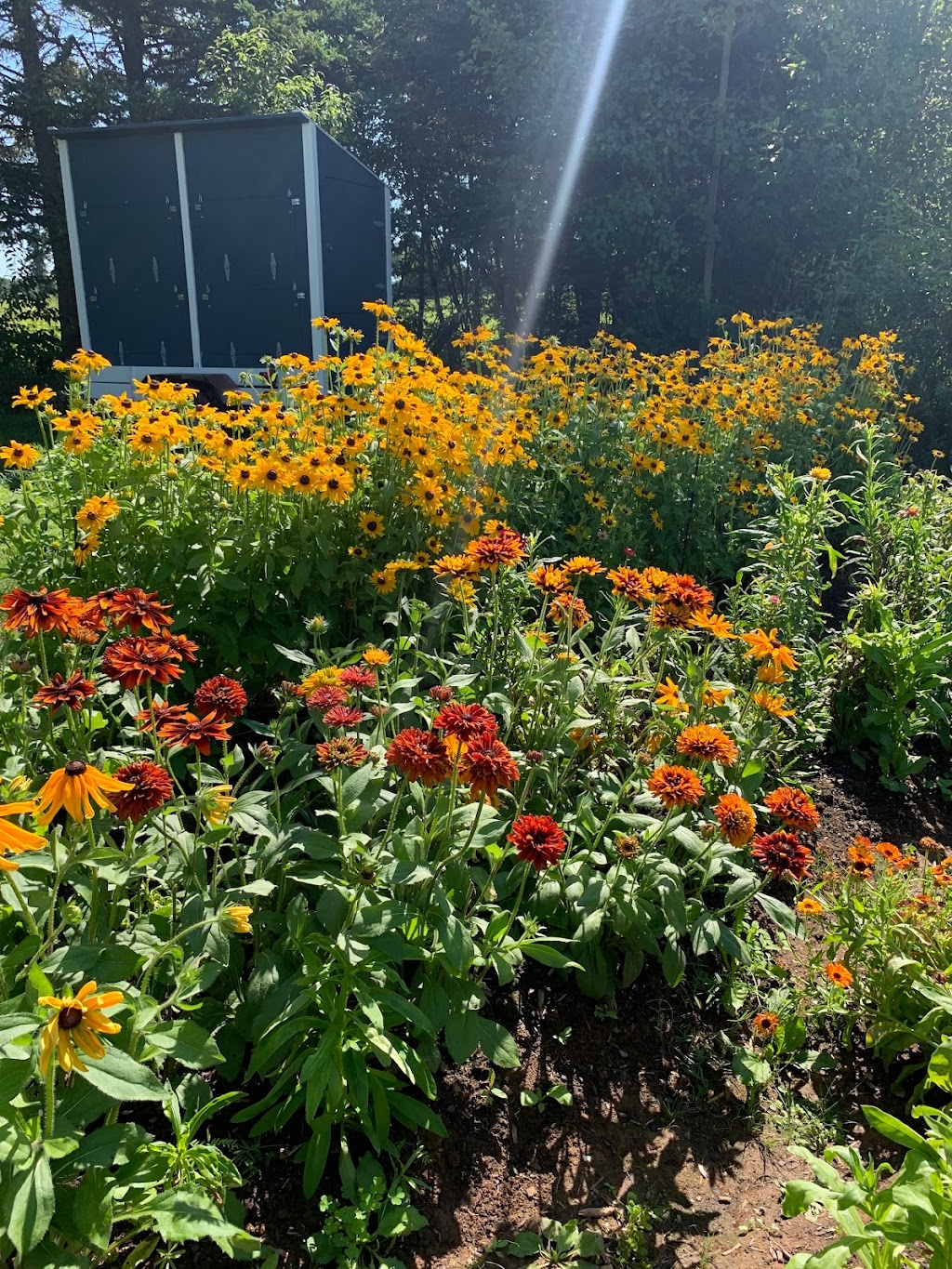 Morning Dew Gardens | 139 Jewell Rd, Cornwall, PE C0A 1H9, Canada | Phone: (902) 213-2624