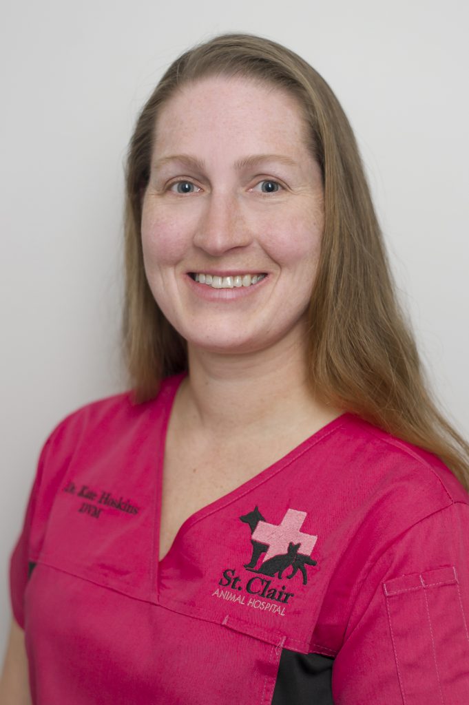 St Clair Animal Hospital | 217 Hill St, Corunna, ON N0N 1G0, Canada | Phone: (519) 813-9116