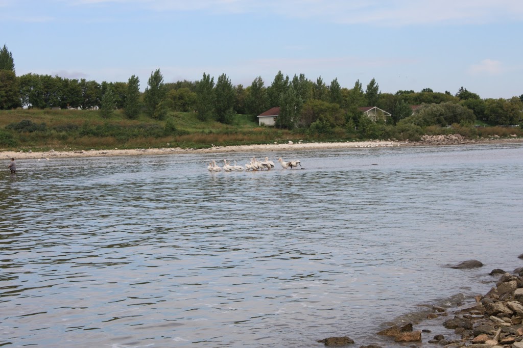 Beausejour Motel | 930 Park Ave, Beausejour, MB R0E 0C0, Canada | Phone: (204) 268-1955