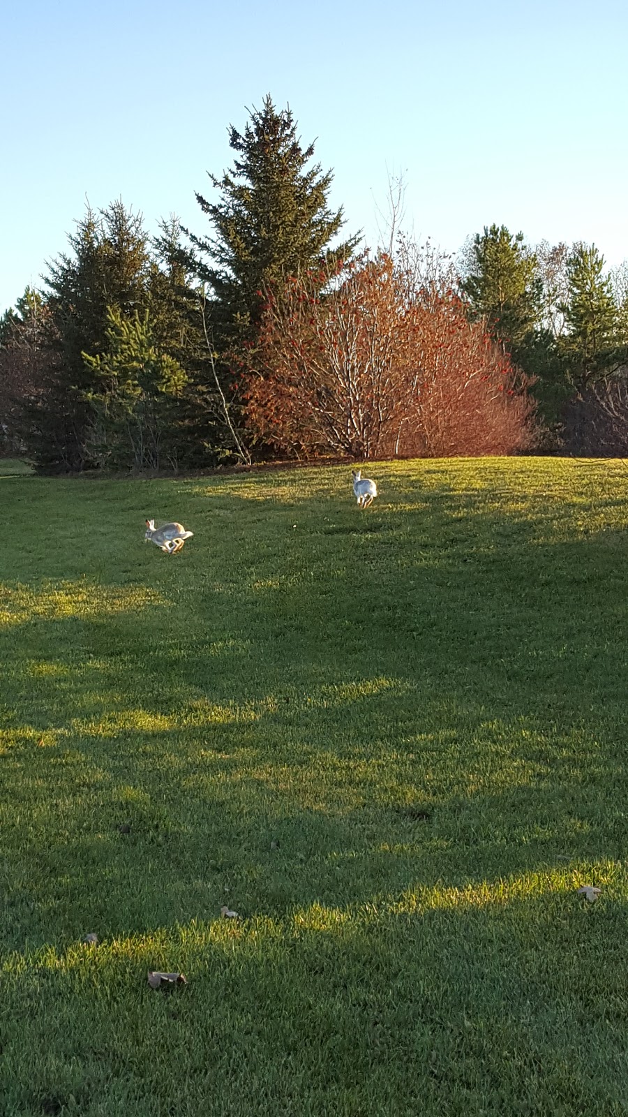 Sidney L. Buckwold Park | Boychuk Dr, Saskatoon, SK S7H 4H6, Canada