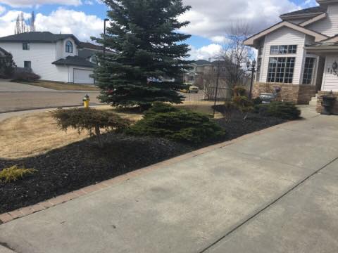 Edmonton Lawn Maintenance | 68 Vernon St, Spruce Grove, AB T7X 0C1, Canada | Phone: (587) 590-7730