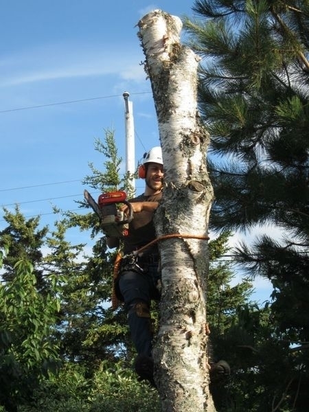 Ground to Crown Tree Services | 4537 Prospect Rd, Kentville, NS B4N 3V8, Canada | Phone: (902) 679-8733