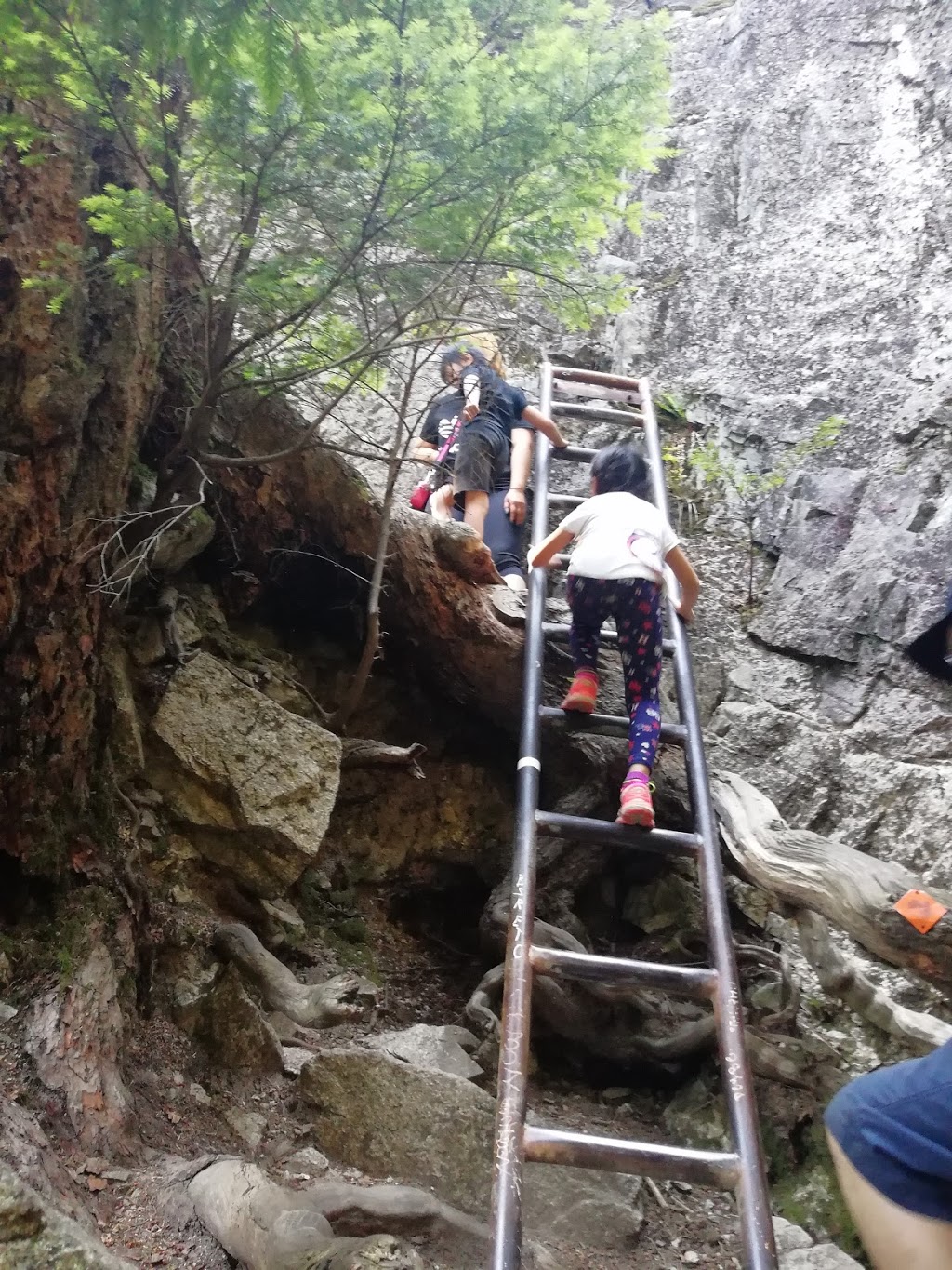 Stawamus Chief Trailhead | 36800 BC-99, Squamish, BC V0N 3G0, Canada