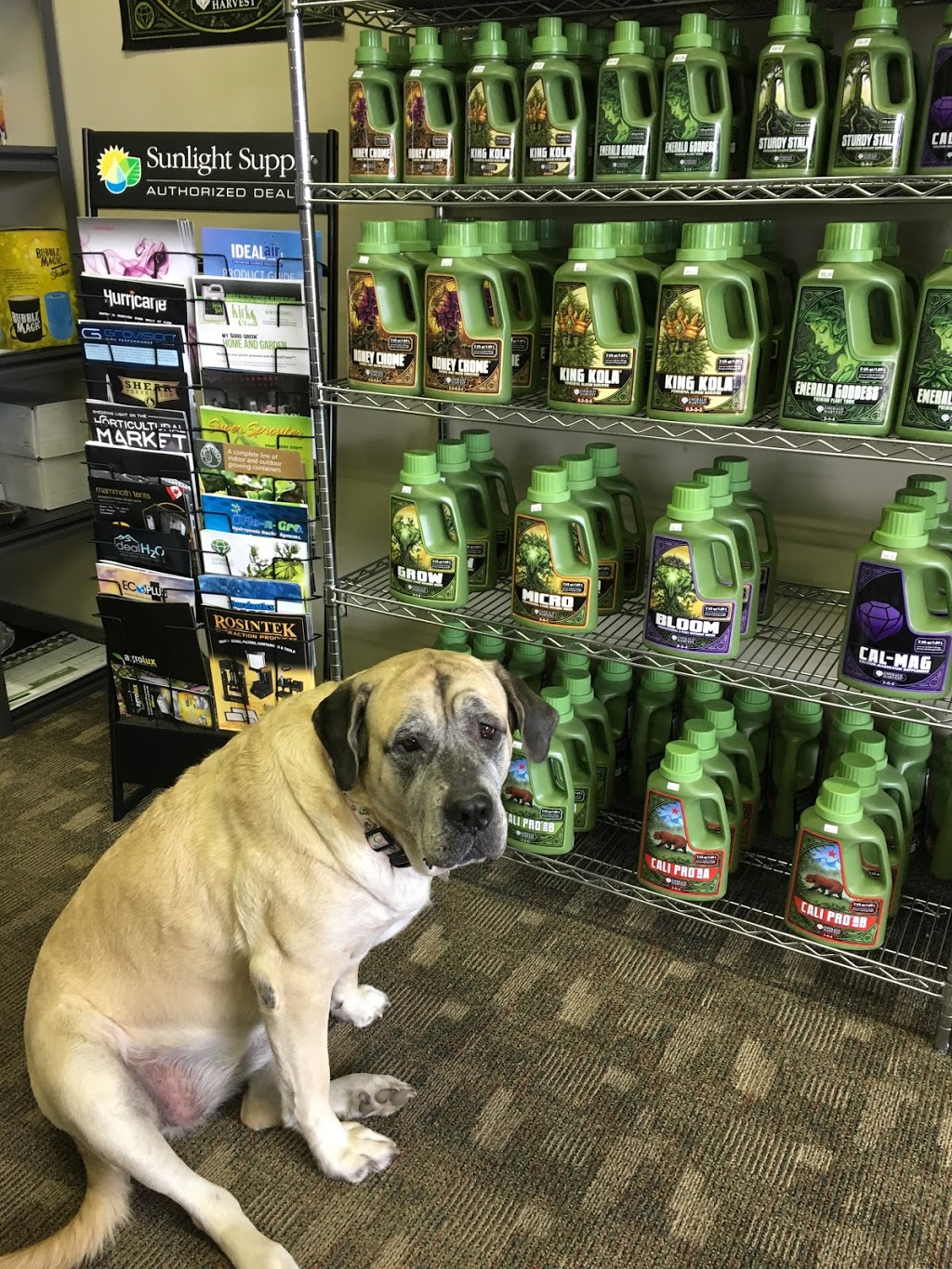 Growise Hydroponics | 1050 Antonio Ct, Severn, ON L3V 0V2, Canada | Phone: (705) 326-3030