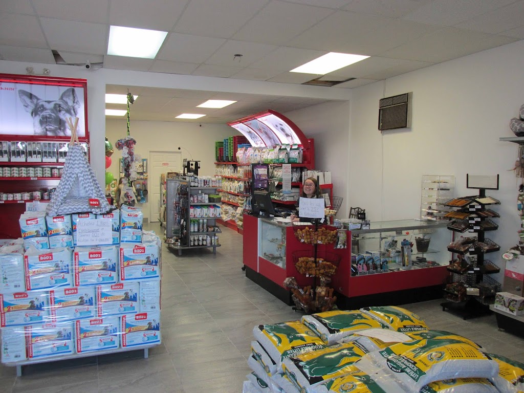 La Jungle de Compagnie | 182 Rue Principale, Saint-Pamphile, QC G0R 3X0, Canada | Phone: (418) 356-1306
