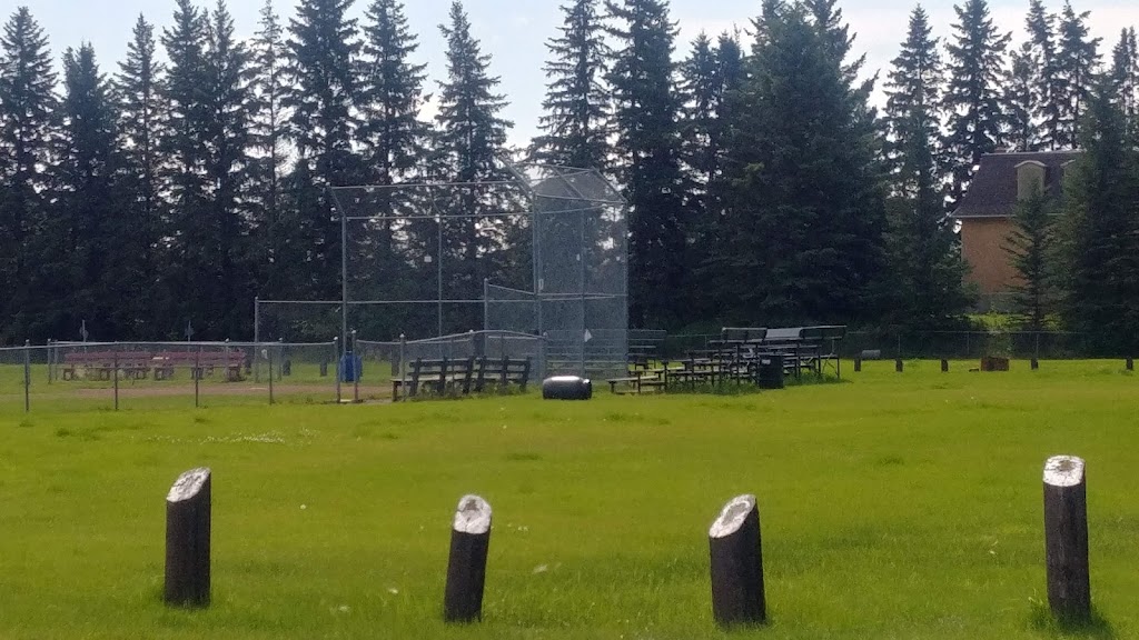 Ukraina Park Campground & Diamonds | 5603 AB-855, Mundare, AB T0B 3H0, Canada | Phone: (780) 603-1073