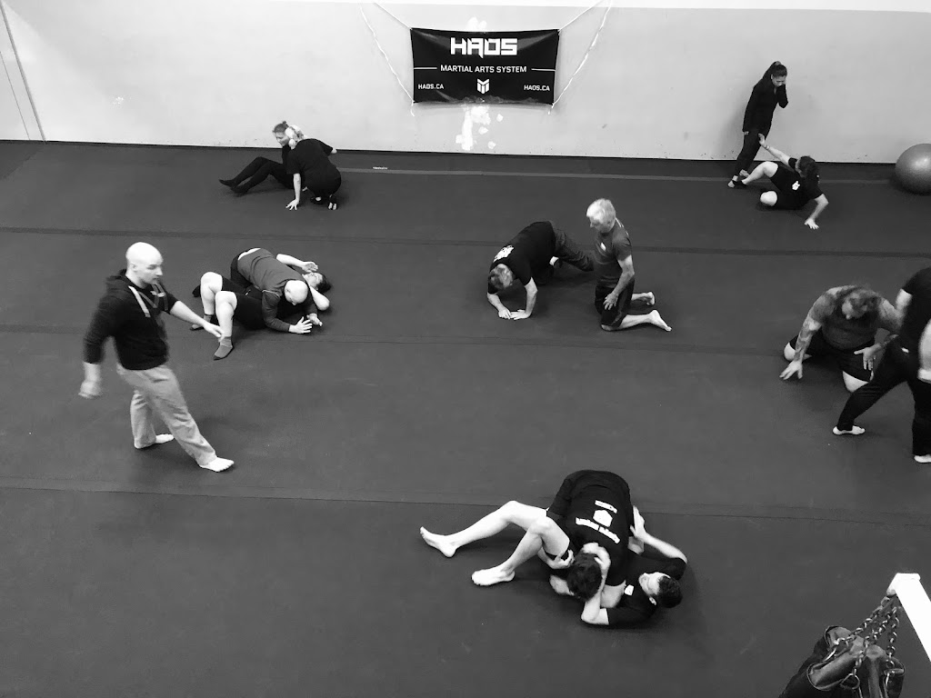 HAOS Martial Arts School | 845 #J Rue Tecumseh, Dollard-des-Ormeaux, QC H9A 2P4, Canada | Phone: (514) 692-3235