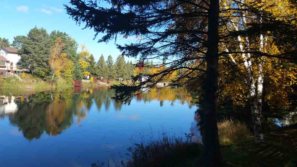 Castleton Hills RV Park | 103 Park Rd, Castleton, ON K0K 1M0, Canada | Phone: (905) 344-7838