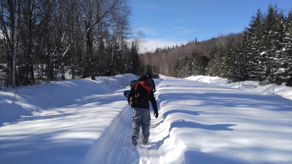 Papineau-Labelle Wildlife Reserve | Notre-Dame-du-Laus, QC, Canada | Phone: (800) 665-6527
