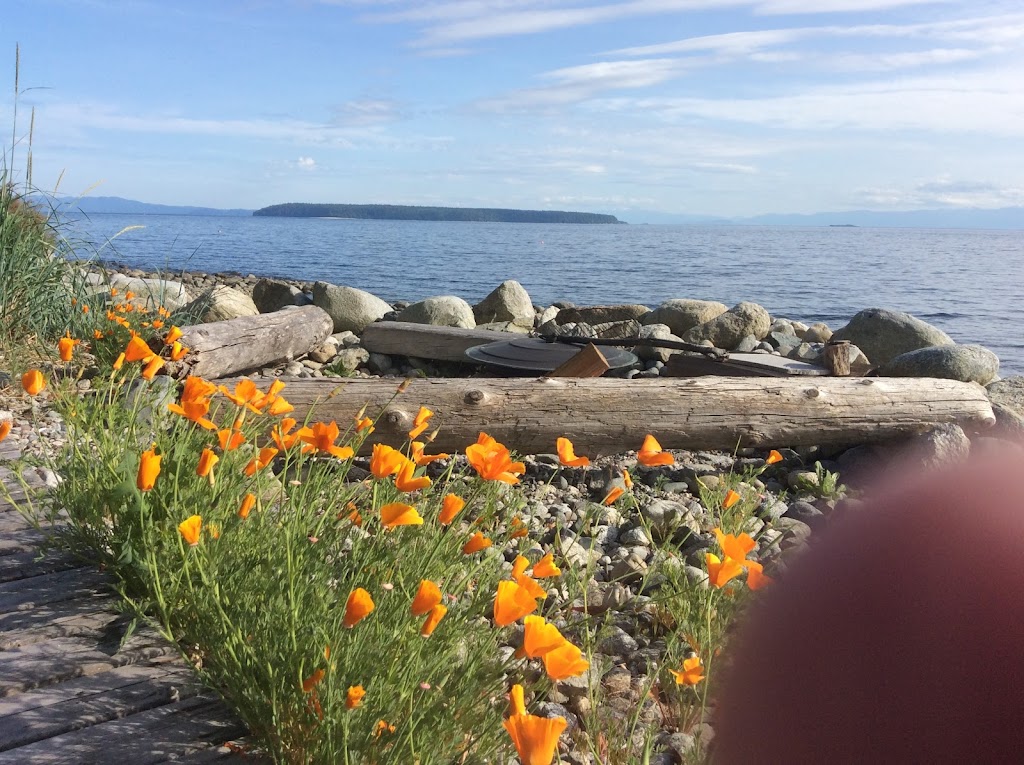 Blitz Beach House | 3265 Atrevida Rd, Powell River, BC V8A 0E1, Canada | Phone: (604) 414-9488