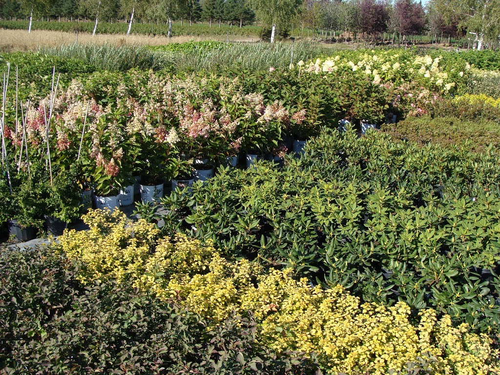 Pépinière Soleil | 3260 Rang de la Rivière N, Saint-Jean-Baptiste, QC J0L 2B0, Canada | Phone: (450) 467-2318