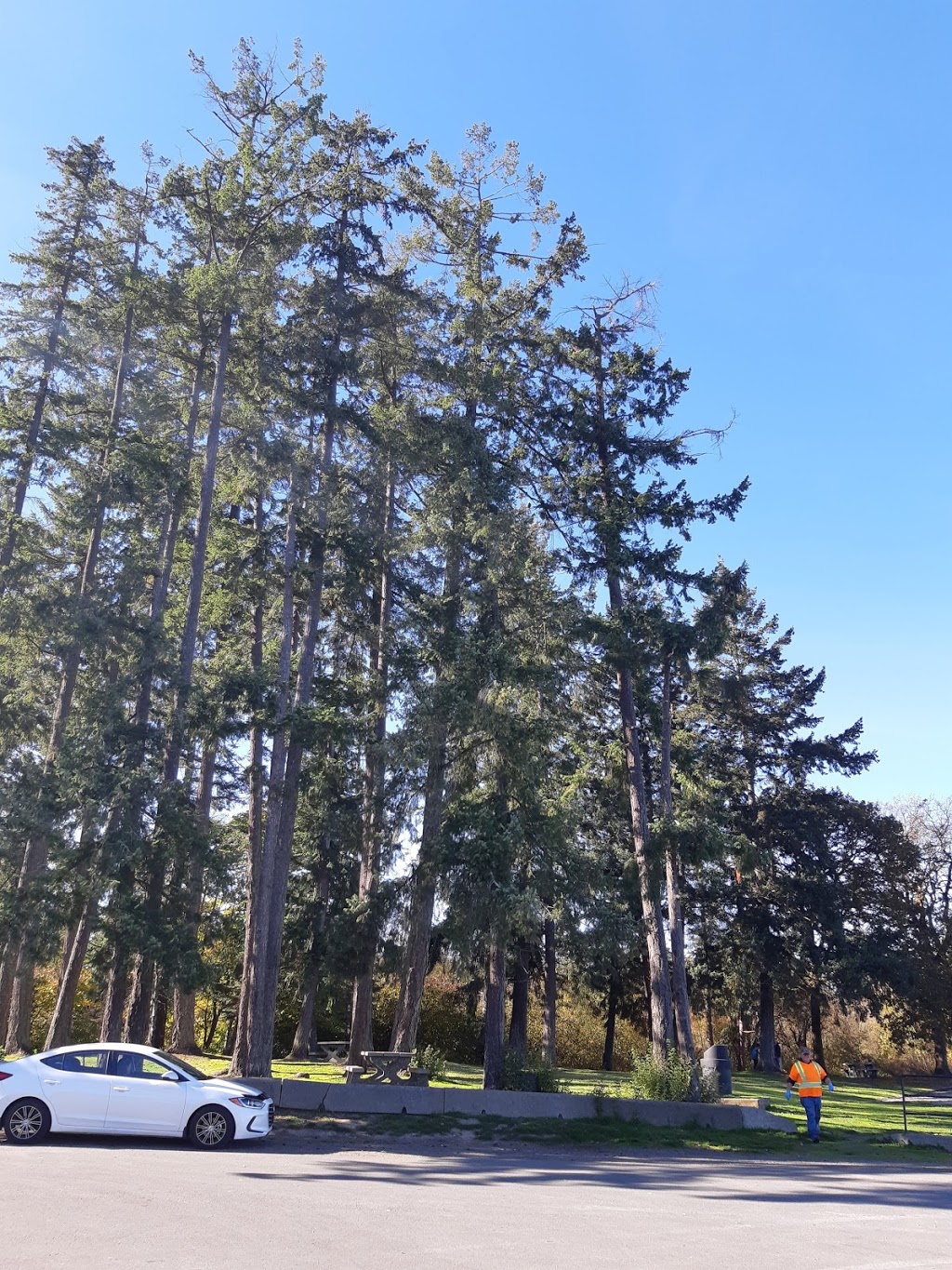 Art Mann Park | 5990 Indian Rd, Duncan, BC V9L 5L9, Canada