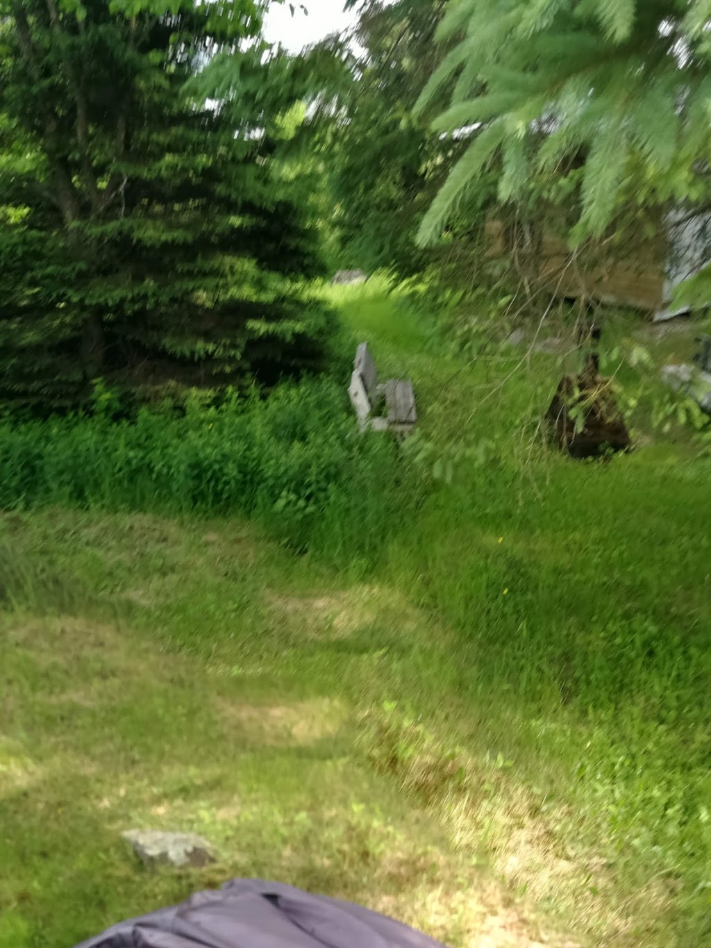Ferme Riverview Farm | 659 Chemin de Brookdale, Boileau, QC J0V 1N0, Canada | Phone: (819) 687-3053