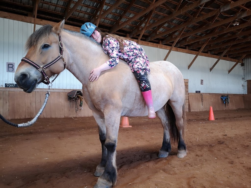 Venture Stables Equine Assisted Learning Center | 124 Campbell Rd, Freetown, PE C0B 1L0, Canada | Phone: (902) 247-0195