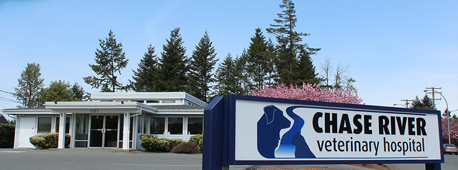 Chase River Veterinary Hospital | 1151 Lawlor Rd, Nanaimo, BC V9R 6R6, Canada | Phone: (250) 591-4050