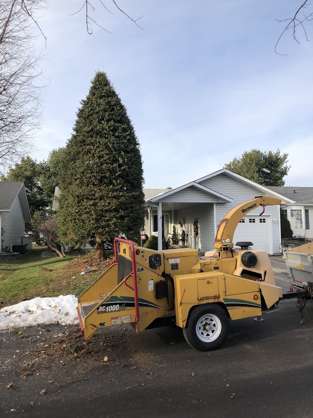 Tandem Tree Service | 641 Annland St, Pickering, ON L1W 1A9, Canada | Phone: (647) 467-8733