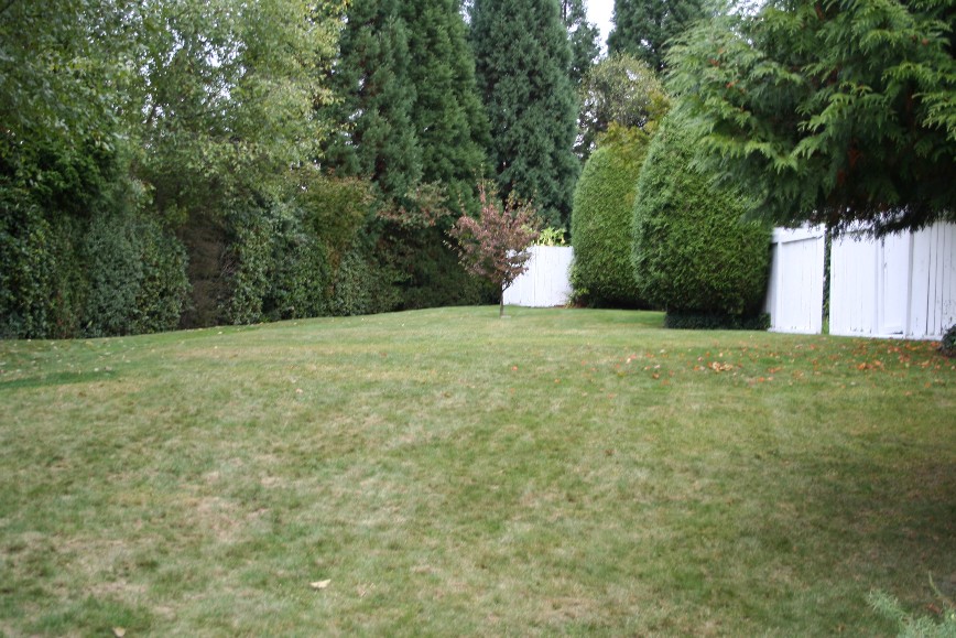 Halston Hills Housing Co-Operative | 8868 Horne St, Burnaby, BC V3N 4T1, Canada | Phone: (604) 421-8320