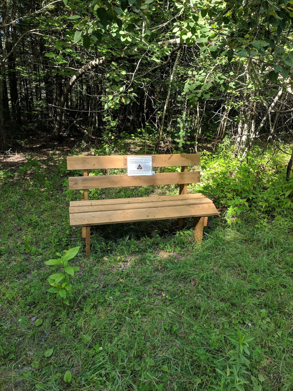 Parc écoforestier de Johnville | 3999 Chemin North, Cookshire-Eaton, QC J0B 1M0, Canada | Phone: (819) 566-5600