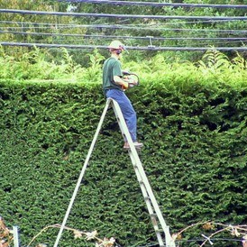 Harbourview Tree Experts | 6674 Rey Rd, Victoria, BC V8Y 1V2, Canada | Phone: (250) 704-9143