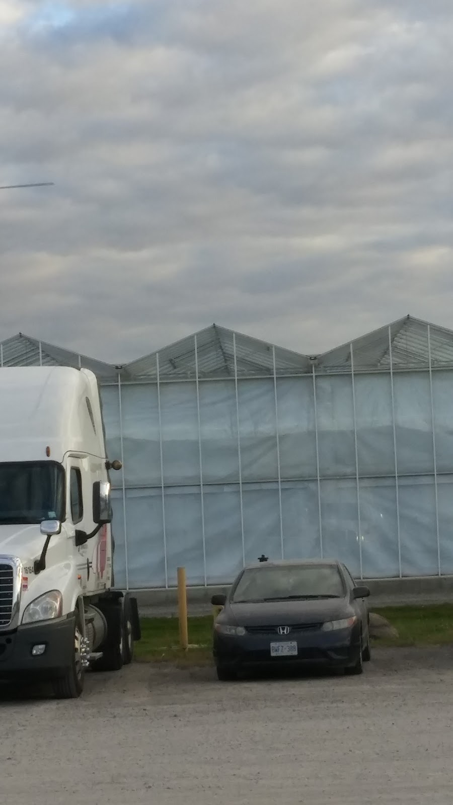 Spring Creek Carriers Inc | 4695 Bartlett Rd, Beamsville, ON L0R 1B1, Canada | Phone: (905) 563-9989