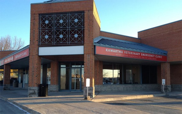 Kawartha Veterinary Emergency Clinic | 1840 Lansdowne St, Peterborough, ON K9K 2M9, Canada | Phone: (705) 741-5832