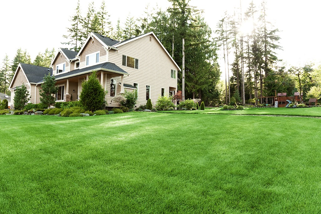 Pelouse Pure | 345 Rue Sainte-Thérèse, Roxton Falls, QC J0H 1E0, Canada | Phone: (514) 823-0100