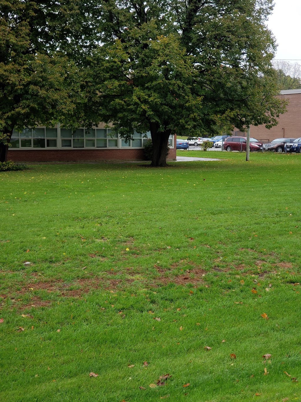 Fairmont Public School | 1040 Hamilton Rd, London, ON N5W 1A6, Canada | Phone: (519) 452-8200