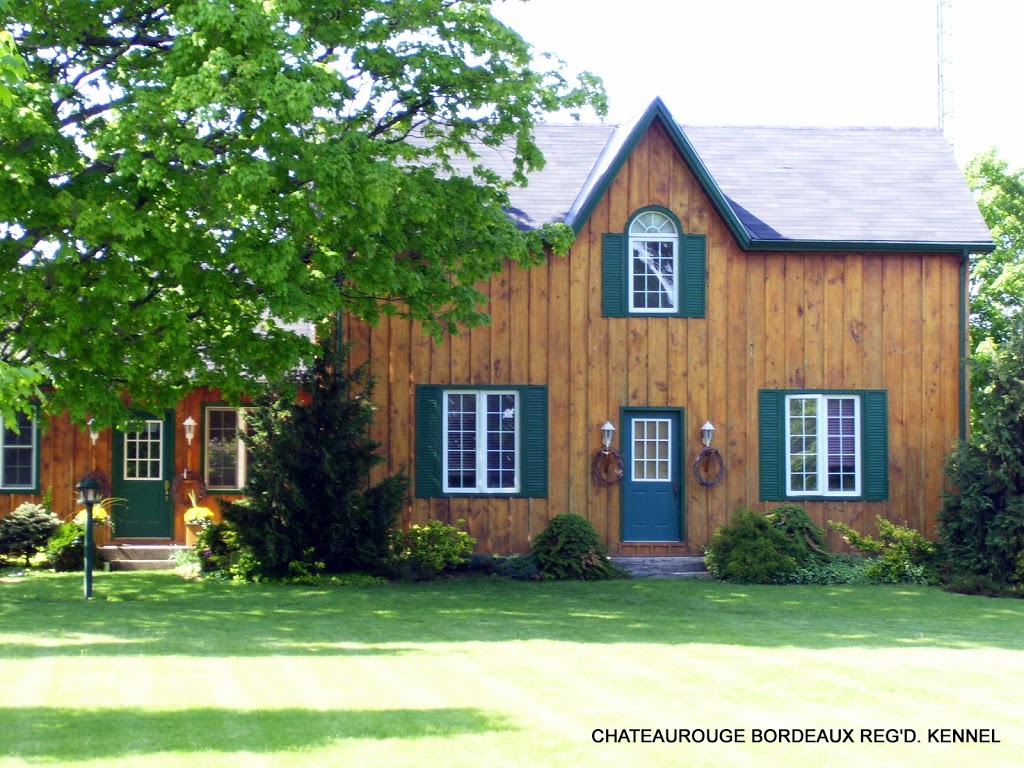Chateau Rouge Dogue de Bordeaux | 1527 Windham Road 5, Vanessa, ON N0E 1V0, Canada | Phone: (519) 443-0363