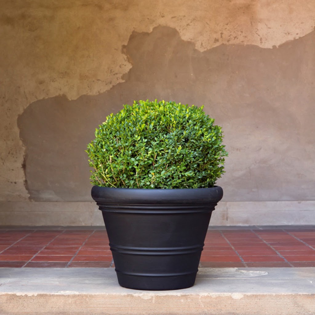 Allplanters.com (New York) | 6040 N Bailey Ave #200, Buffalo, NY 14226, USA | Phone: (888) 602-9995