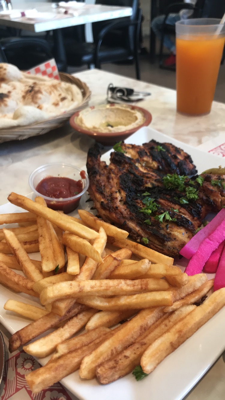 Ottawa Kabab | 577 Gladstone Ave, Ottawa, ON K1R 5P2, Canada | Phone: (613) 518-7434