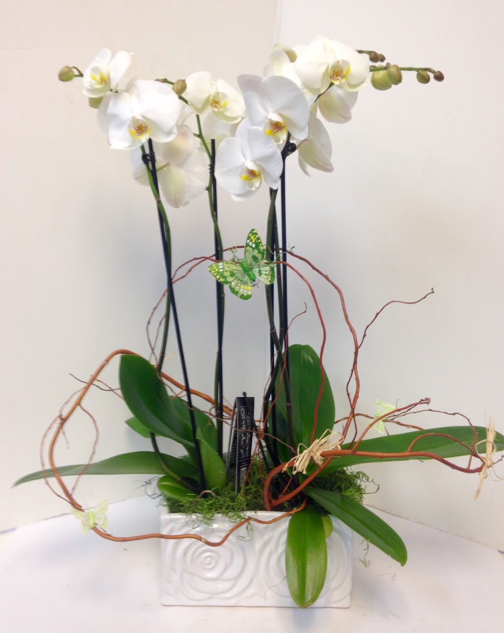 Russells Flower Shop | 1421 Main St E, Hamilton, ON L8K 1C2, Canada | Phone: (905) 547-1239